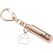 Amazon.co.jp: Pettieland 遺骨 カプセル キーホルダー ネックレス