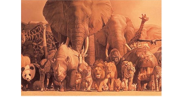 Amazon 1000ピース 動物たちの地球 ジグソーパズル おもちゃ