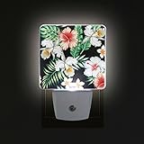 Alaza LED Night Light withスマートDusk to Dawnセンサー、トロピカル花柄ハイビスカス柄Orchidsプラグin Night Light Great Forベッドルー