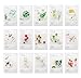 Innisfree Mask Sheets 15 PCSイニスフリー マスクシート 15pcs マスクパック 15 盛り合わせ (海外直送品)