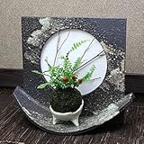 信楽焼　山草鉢　影画ー01【ha-0093】　山草鉢用花器　山野草鉢　花瓶　花器　一輪挿し　花入　しがらき焼　陶器　焼き物　壷　インテリア　おしゃれ　オシャレ