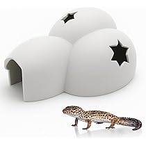 51YJgCCTUTL._AC_UL210_SR210,