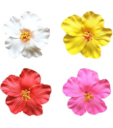 Amazon.co.jp: DIANX ハワイアンハイビスカスヘアクリップ お花