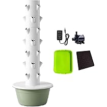 M*i様 2025実生苗セットt❤️　4センチポット 2025実生苗セットi 4センチポット 2024実生苗セットe⚠️ 4センチ