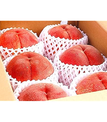Amazon.co.jp: ワッサー ご家庭用に ちょっとした贈り物にも 桃