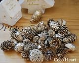~Coco Heart~　ミニコーンアソート　プラチナ　６０ｇ（木の実・ドライフラワー・クリスマス）