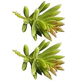 50248_1 2パックフェイク多肉植物 Unpotted ビニール人工多肉 人工植物 偽の多肉植物フラワーアレンジメントクラフトメイキング