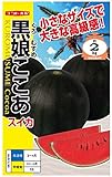 ナント種苗 黒娘ここあ(すいか)
