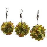 Nearly Natural 4958-S3 Mixed Succulent Hanging Spheres, 5-Inch, Green, Set of 3 by Nearly Natural [並