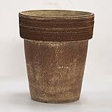 イタリア製テラコッタ鉢 アルトポット コーヒースクラッチ 20cm 2個入り ／植木鉢