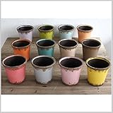 カラフル かわいい プランター 植木鉢 鉢 カラー インテリア ガーデニング 雑貨 COLORS PLANTER 12色セット