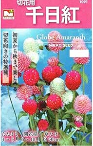 Amazon 日光種苗 千日紅混合 花