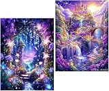 Amyaker ダイヤモンドアート キット 四角いビーズ 全面 2個セット ダイアモンドビーズ絵画キット DIY 手作り絵画 モザイクアート 5D モザイクアート ダイヤモンド塗装 全面貼り付けタイプ 30x40cm ワンダーランド城