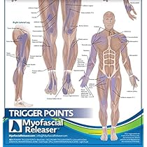 Sclerotome Pain 解剖図！カイロ！整体！鍼灸！エステ！トレーナー！ Sclerotome Pain 解剖図！カイロ！整体！鍼灸！エステ！トレーナー！