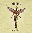 In Utero: 20th Anniversary Edition (2CD)