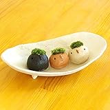 苔盆栽 モスモス モスコトリ ３匹 受け皿（白）セット