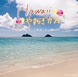 Hawaii �₷�炬�J�t�F�`�������f���Ƌ��Ɂ`