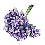 TOOGOO ( R ) 12 Bouquets PIP Berry StemsベリーStamen、PIP Berry Wreath、Flower Stamens、人工Berries、PIP Berr