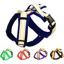 【塩サバ】リボン　ビスチェ　ハーネス 塩サバ様専用】リボン ビスチェ ハーネス