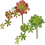 Supla 2個ソフトプラスチックブルゴーニュでAeonium多肉植物カスケードPickグリーン、11.75 " Tall