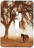 3drose LSP _ 202972 _ 1 WesternセピアToned Horse on a Ranch with Anオークツリー – Single切り替えスイッチ