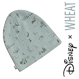 BabyBeanieWinniethePooh(wt-5992-805skyL)