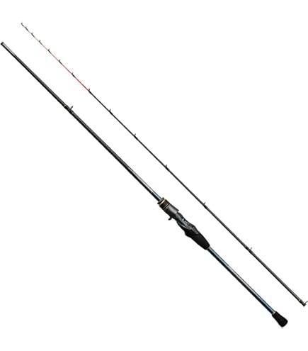 Amazon | シマノ(SHIMANO) 船竿 ロッド ステファーノ 攻 HHH173