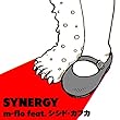 SYNERGY