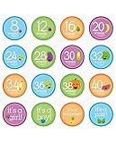 Tiny Ideas Pregnancy Belly Stickers by Tiny Ideas [並行輸入品]