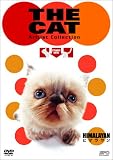 THE CAT �`�q�}�������`