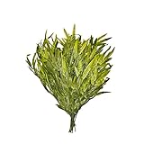 ALEKO AB24X22LEAF01 Gorgeous Silk Green Artificial Eucalyptus Leaf, Lot of 10 Branches [並行輸入品]