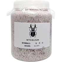 Amazon | MYCELIUM 菌糸ビン1400cc 寒茸（カンタケ）菌 ホワイト