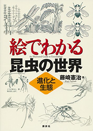 絵でわかる昆虫の世界 進化と生態 (KS絵でわかるシリーズ)