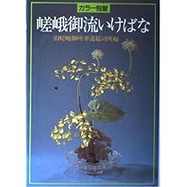 いけばな嵯峨御流大鑑 | 旧嵯峨御所華道総司所 |本 | 通販 | Amazon