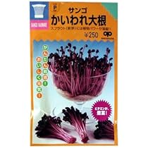 51YWMw8PPLL._AC_UL210_SR210,