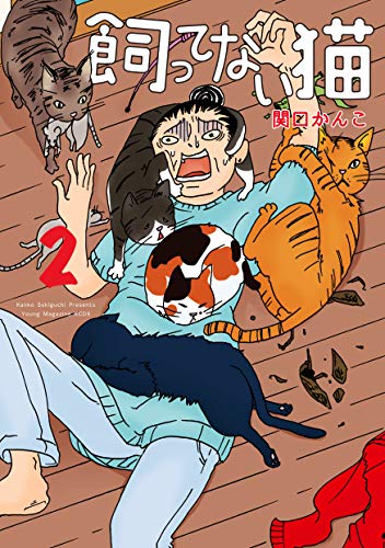 『飼ってない猫』2巻