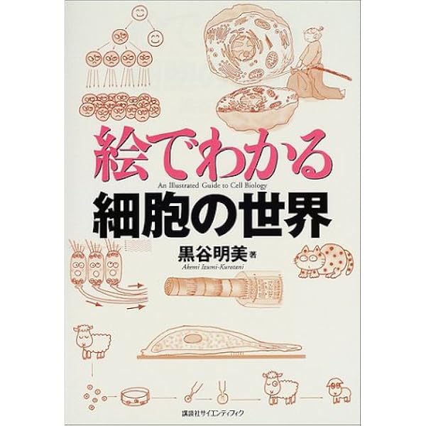 絵でわかる細胞の世界 Ks絵でわかるシリーズ 黒谷 明美 本 通販 Amazon