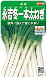 サカタのタネ 実咲野菜3871 永吉冬一本太ねぎ ネギ 00923871
