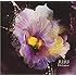 JUJU「Distance」