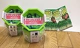 ﾌﾞﾛｯｺﾘｰｽﾌﾟﾗｳﾄ（種）3袋、ｷｯﾁﾝﾌｧｰﾑ（栽培容器）小2ヶｾｯﾄ