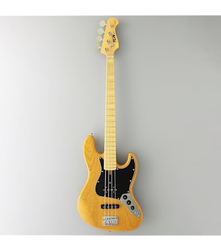 Amazon | FUJIGEN BCJB100RBD BK FGN フジゲン ジャズベースタイプ