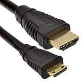 kenable Mini HDMIタイプCオスプラグto HDMIオスケーブルリードゴールド10 M ( ~ 33フィート)