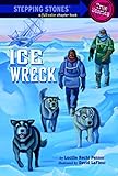 Ice Wreck (A Stepping Stone Book(TM))