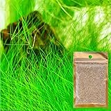 Etopfashion 水草シード 3種類セット 水槽用品 ミニ種子 プレミアムシード 観賞用 水生植物 飾り 土＋温度＋水 増殖スピード速い 無農薬 栽培が超簡単 (大牛毛*1セット)