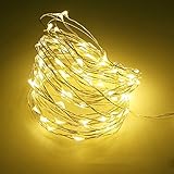 SAMHE イルミネーションライト　LEＤ電池式ライト　クリスマス　結婚式　パーティー　飾り　10M100LED 点滅　防水　ストリングスライト