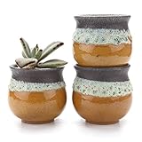 T4U 7CM 陶器鉢 夏のトリオ No.2 多肉植物、サボテン鉢 フラワーポット プランター容器 黄色い 3個セット