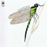 �h���S���t���C+4