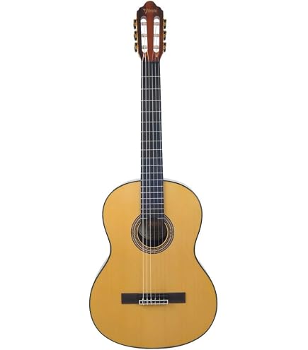 Amazon | Valencia VC204 クラシックギター初心者8点セット クラシック