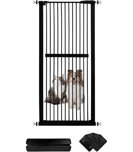 欄間 71Pb5EdQl4L._AC_UF894,