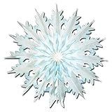 Beistle 20371 Dip-Dyed Snowflake, 17', Pack of 12 [並行輸入品]